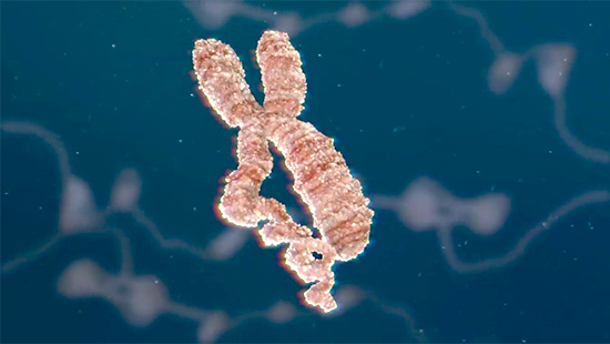 <p>Watch this original animation, which explains chromatin biology, epigenetics and the regulation of gene activity.</p><p><a class="button" href="https://youtu.be/XelGO582s4U">Watch Video</a></p>